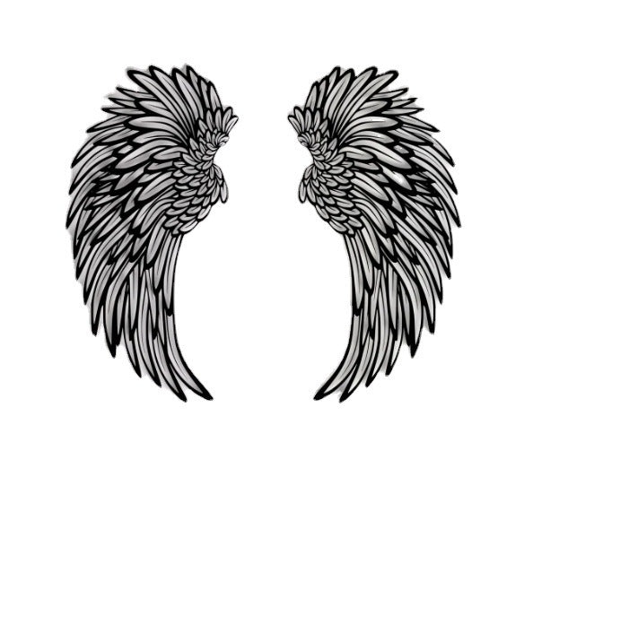 Light Angel Wings Decoration
